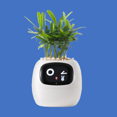 Tuya Ivy Smart Planter,Endless Fun Over 49 Rich Expressions,7 smart sensors,AI Chips Make Raising Plants Easy and Fun