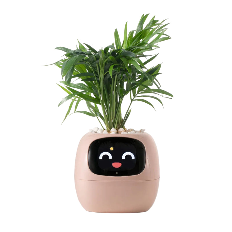 Tuya Ivy Smart Planter,Endless Fun Over 49 Rich Expressions,7 smart sensors,AI Chips Make Raising Plants Easy and Fun