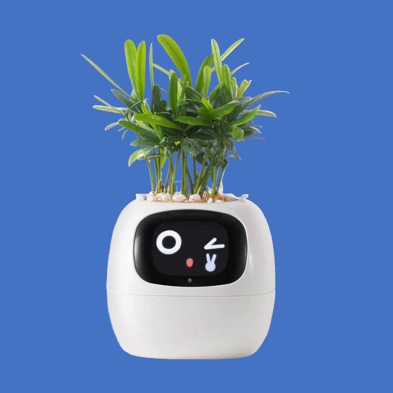 Tuya Ivy Smart Planter,Endless Fun Over 49 Rich Expressions,7 smart sensors,AI Chips Make Raising Plants Easy and Fun